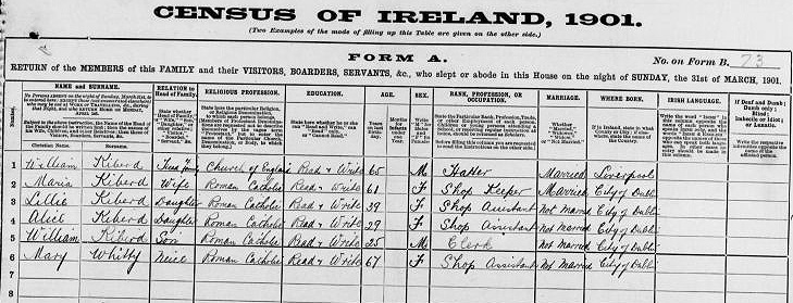 1901 Census for William Kiberd 