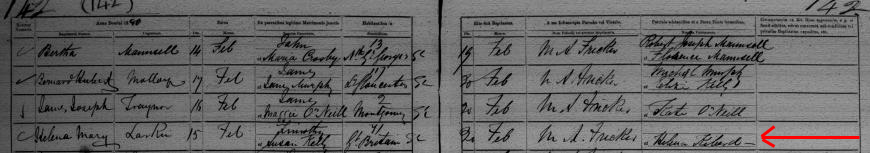 baptismal record of Helena Larkin